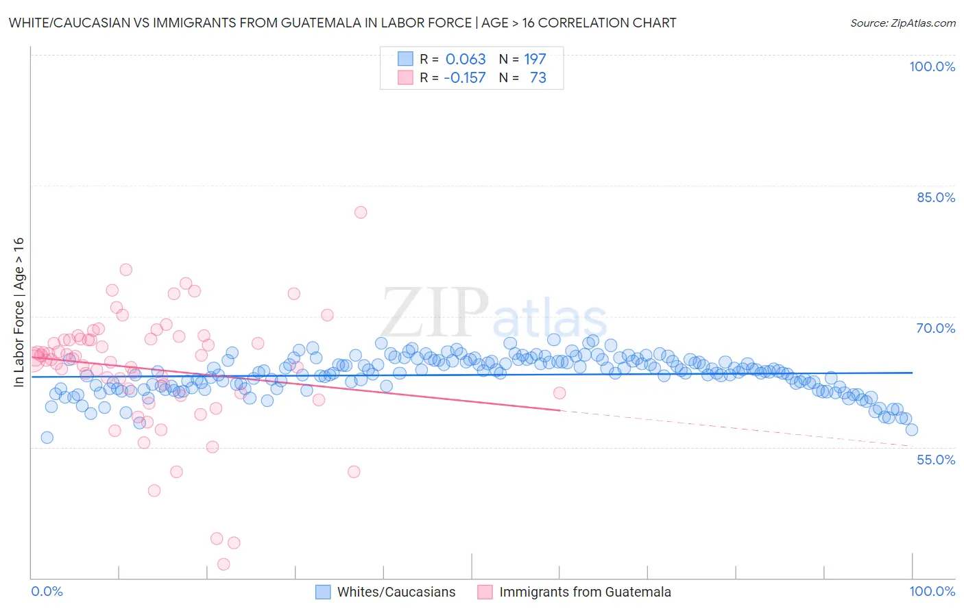 White/Caucasian vs Immigrants from Guatemala In Labor Force | Age > 16