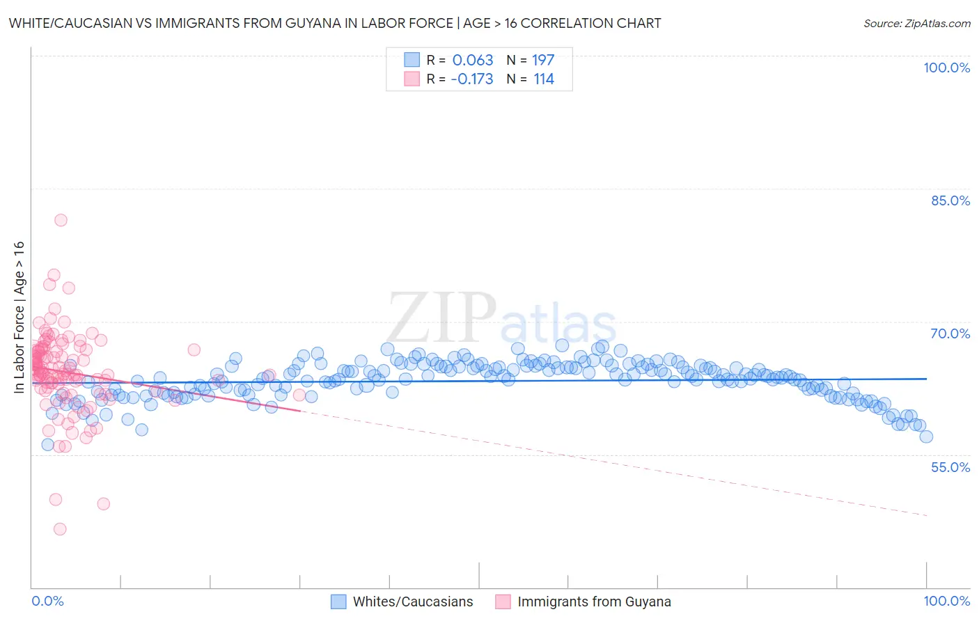 White/Caucasian vs Immigrants from Guyana In Labor Force | Age > 16