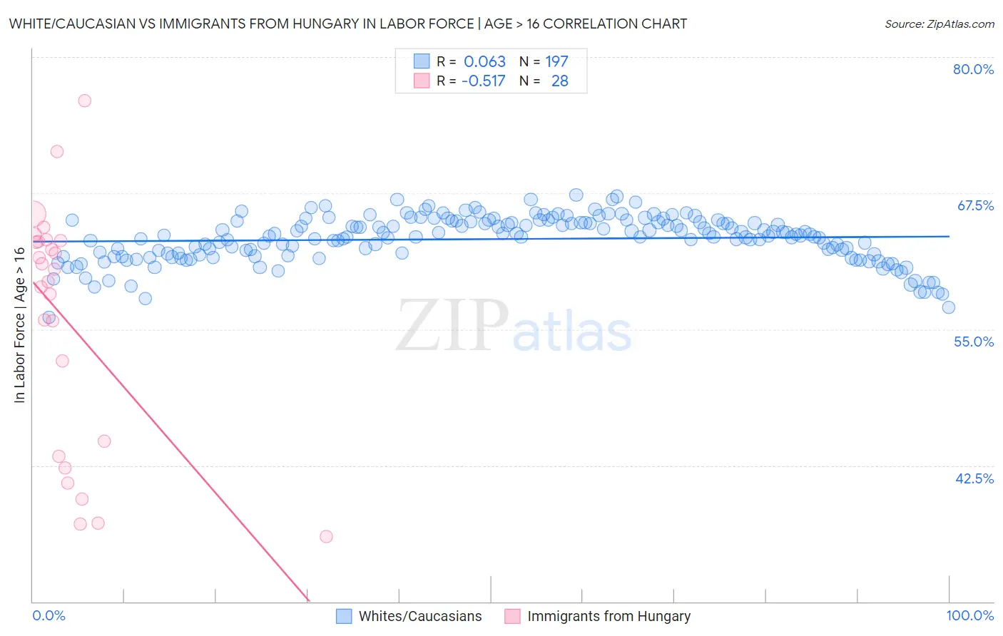 White/Caucasian vs Immigrants from Hungary In Labor Force | Age > 16