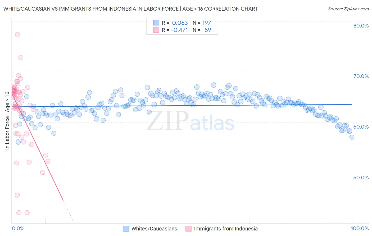 White/Caucasian vs Immigrants from Indonesia In Labor Force | Age > 16