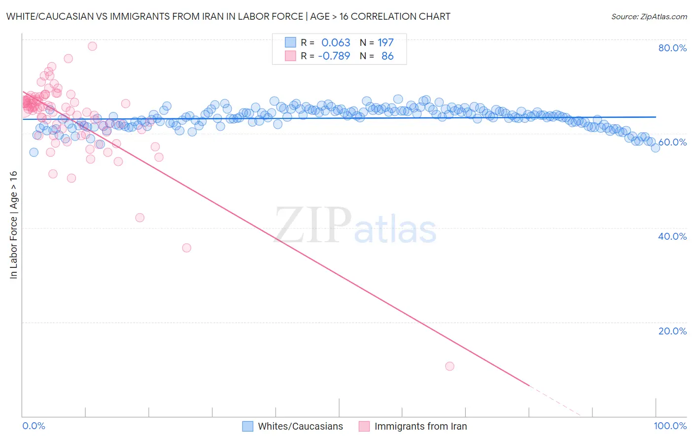 White/Caucasian vs Immigrants from Iran In Labor Force | Age > 16