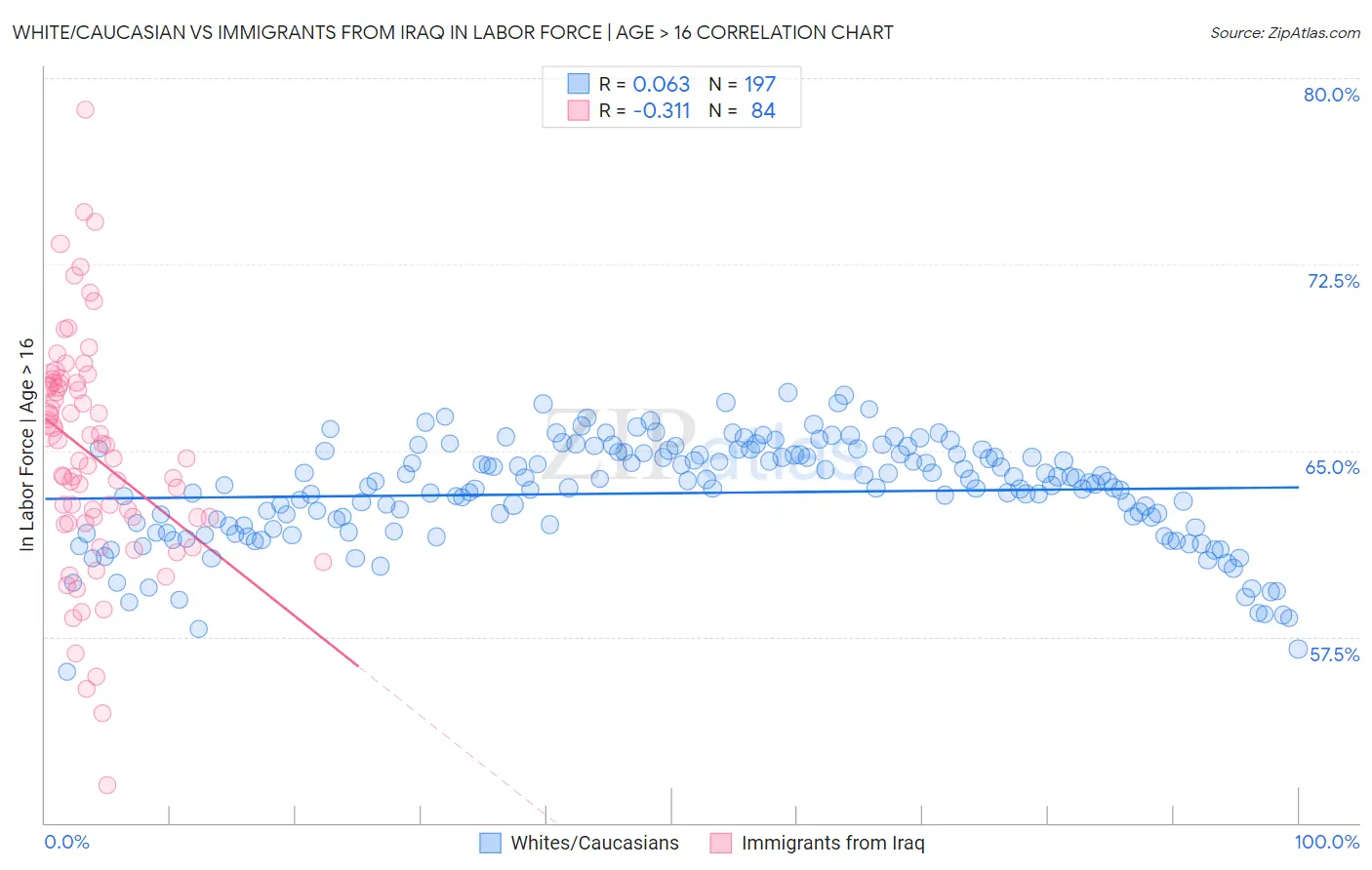 White/Caucasian vs Immigrants from Iraq In Labor Force | Age > 16