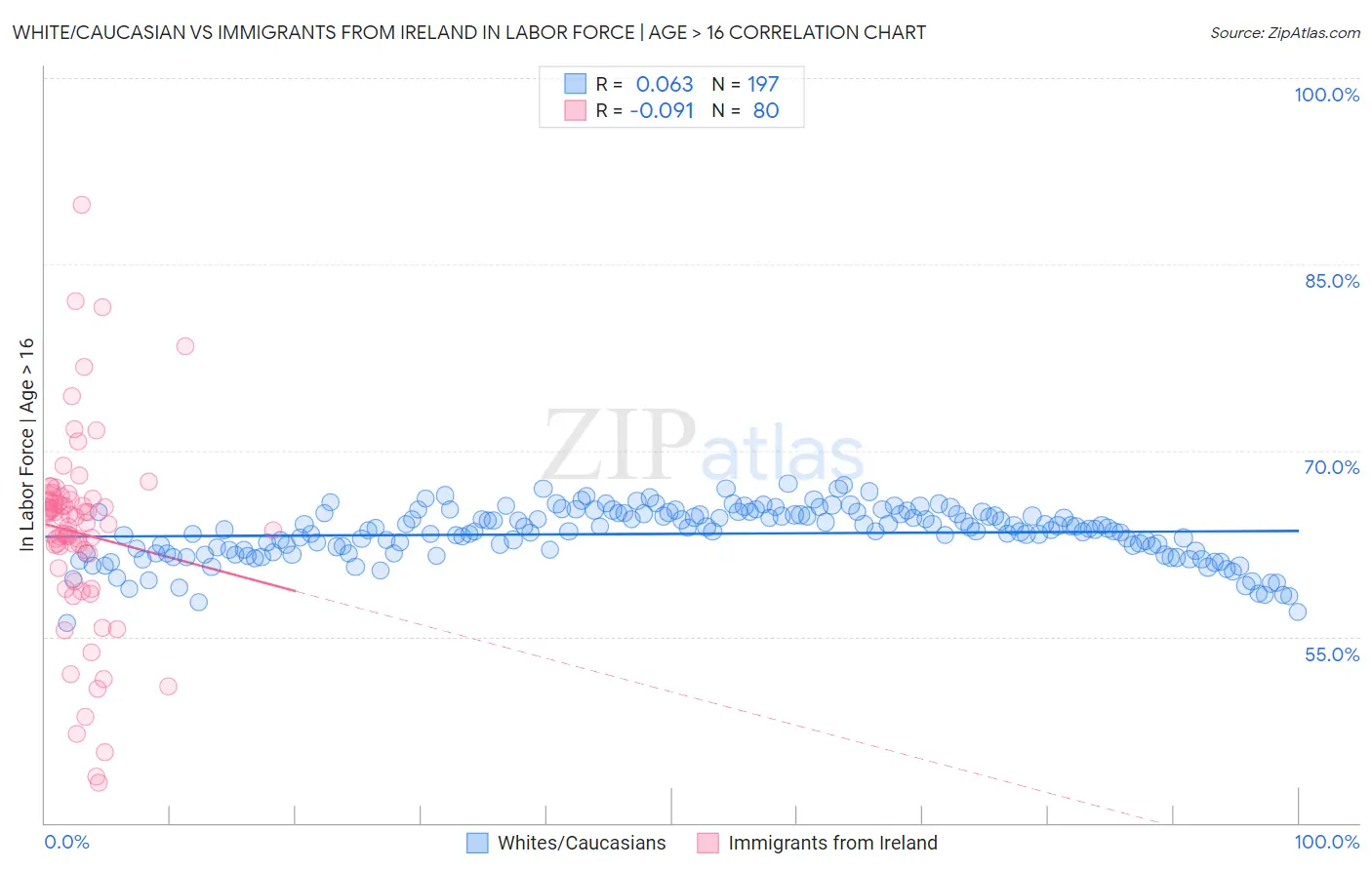 White/Caucasian vs Immigrants from Ireland In Labor Force | Age > 16