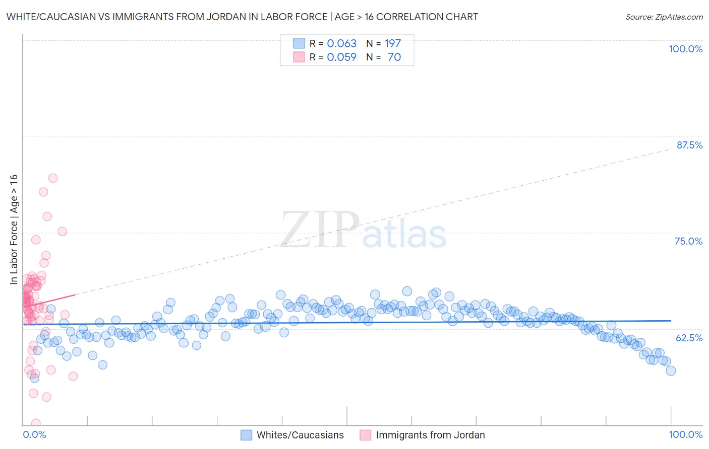 White/Caucasian vs Immigrants from Jordan In Labor Force | Age > 16