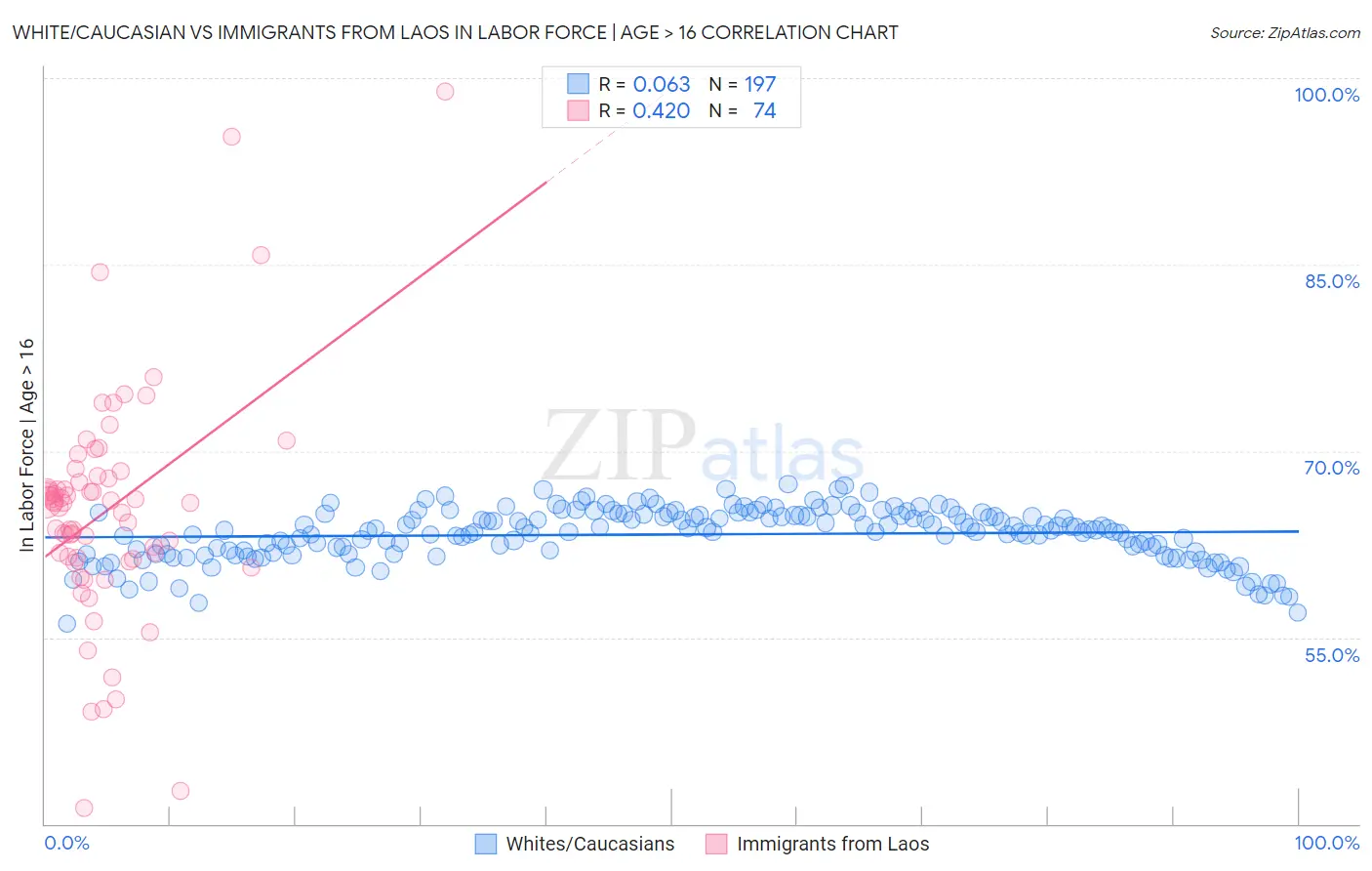 White/Caucasian vs Immigrants from Laos In Labor Force | Age > 16