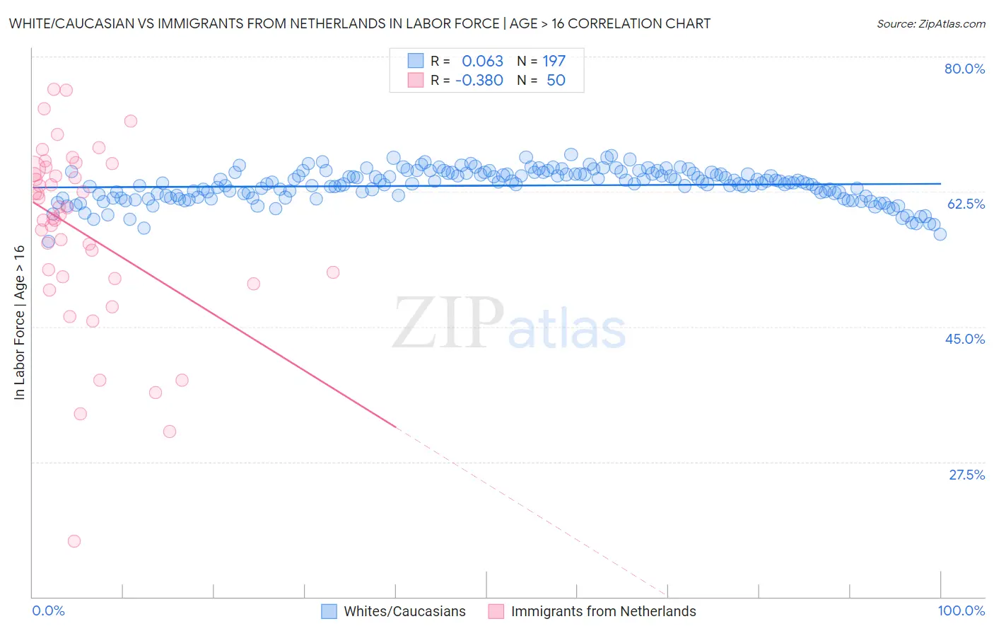 White/Caucasian vs Immigrants from Netherlands In Labor Force | Age > 16