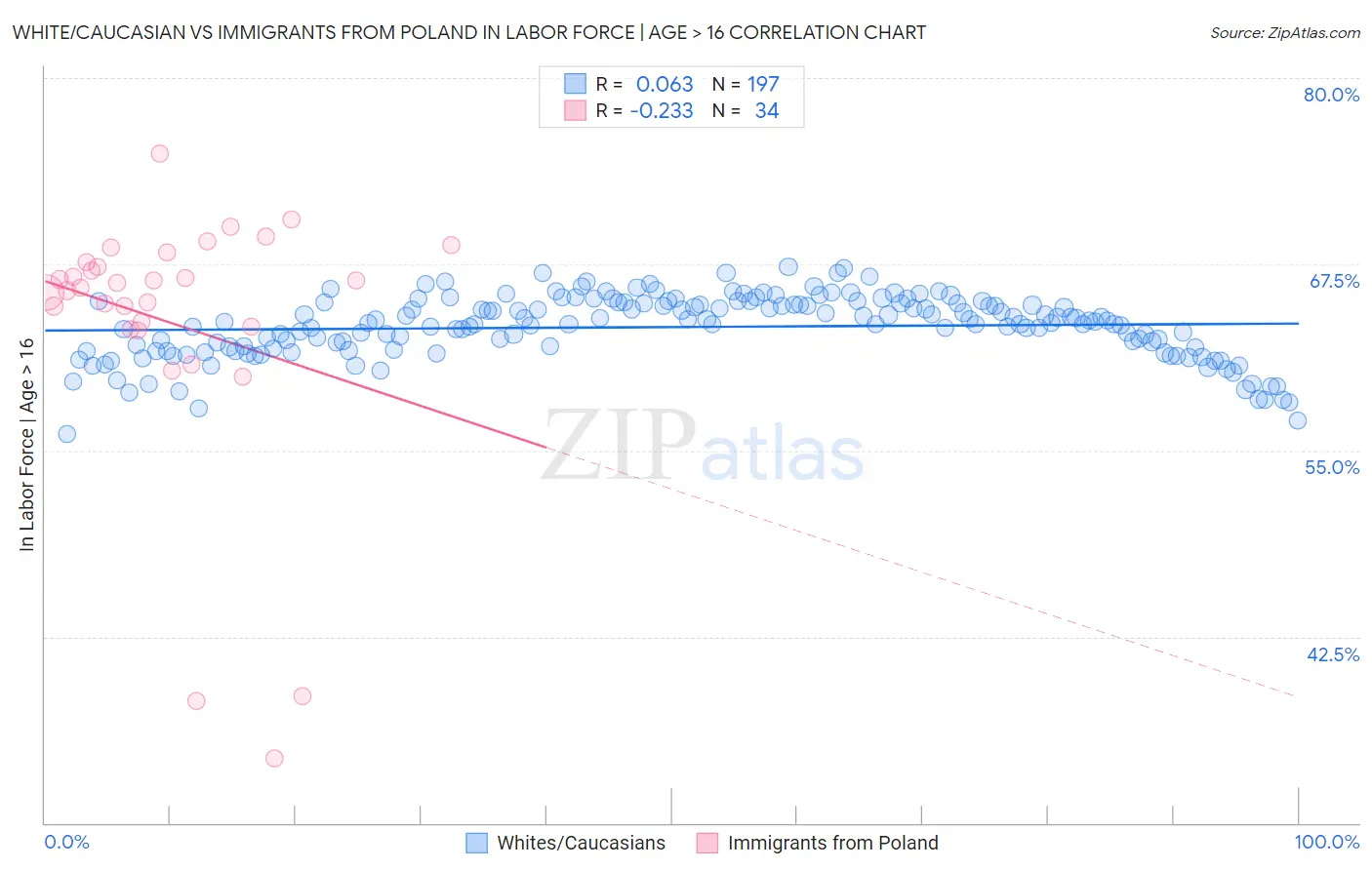 White/Caucasian vs Immigrants from Poland In Labor Force | Age > 16