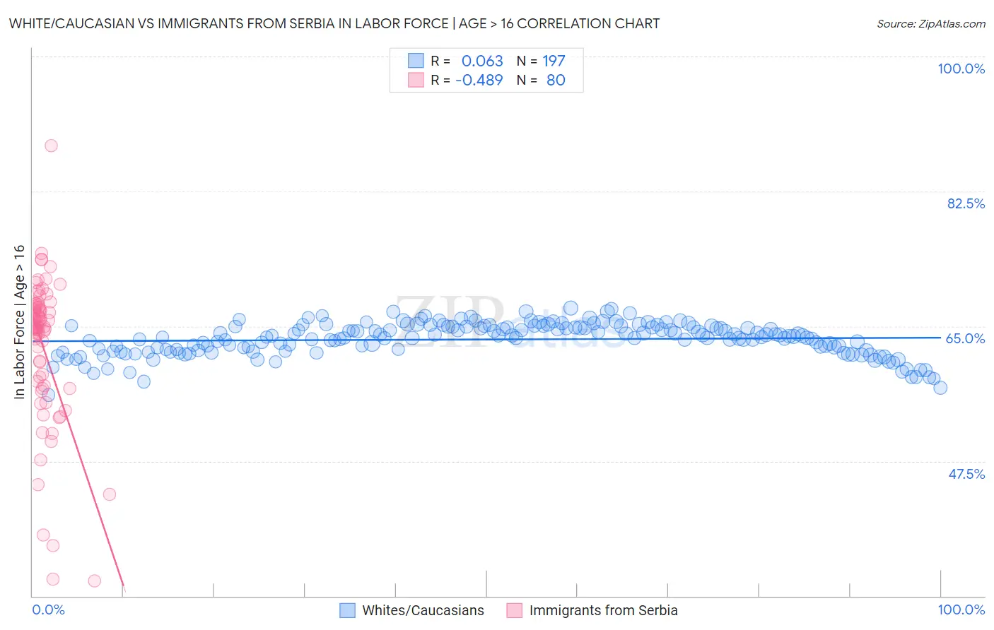 White/Caucasian vs Immigrants from Serbia In Labor Force | Age > 16