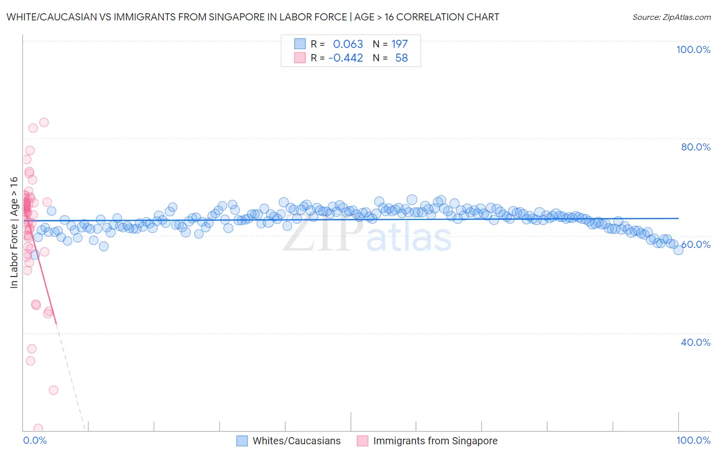 White/Caucasian vs Immigrants from Singapore In Labor Force | Age > 16