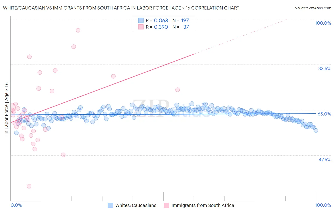 White/Caucasian vs Immigrants from South Africa In Labor Force | Age > 16