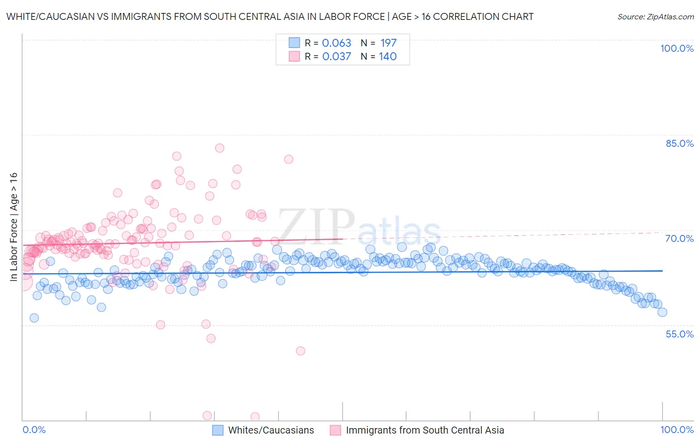 White/Caucasian vs Immigrants from South Central Asia In Labor Force | Age > 16