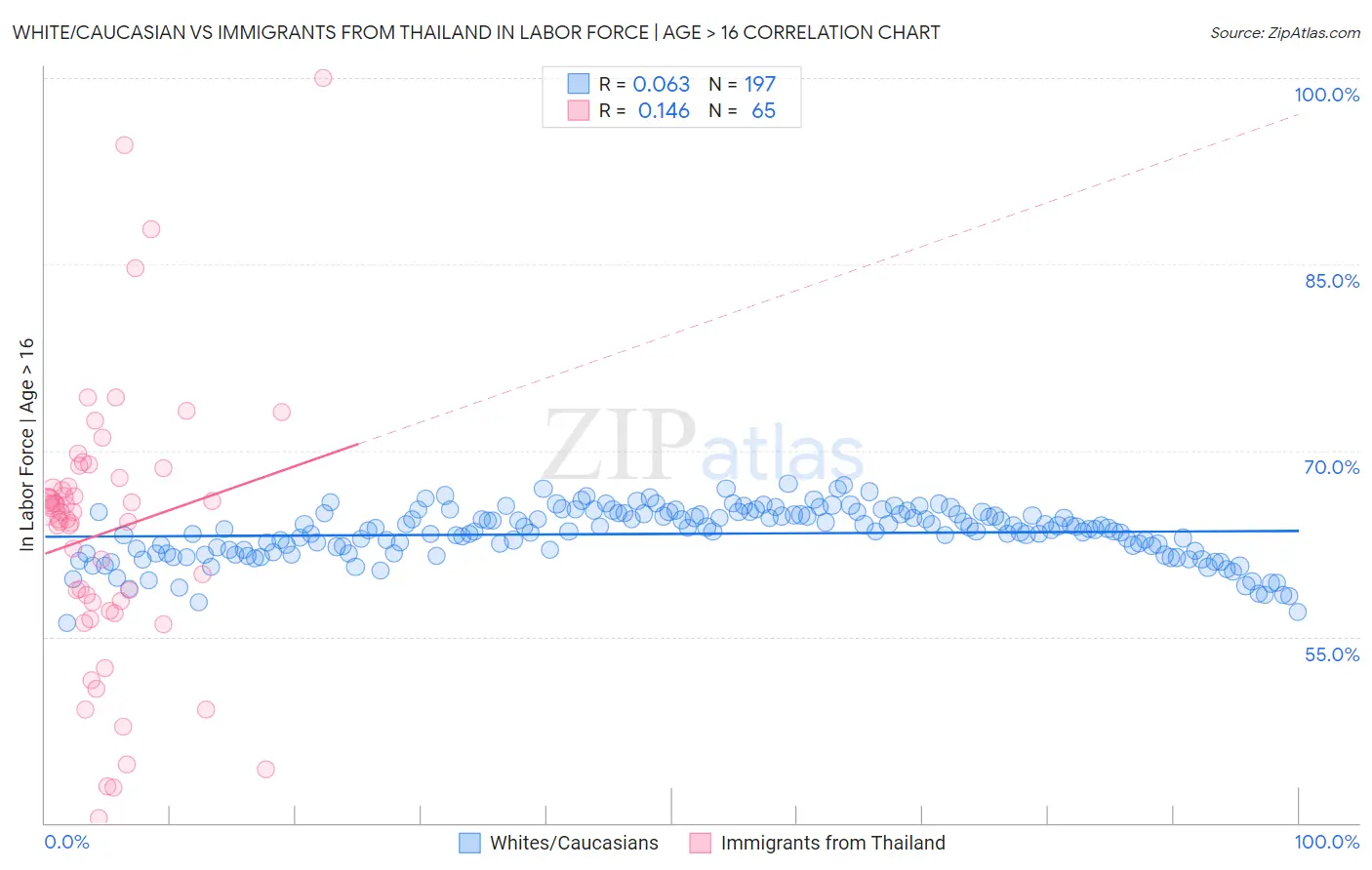 White/Caucasian vs Immigrants from Thailand In Labor Force | Age > 16