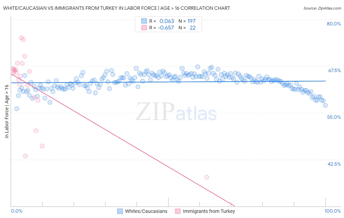 White/Caucasian vs Immigrants from Turkey In Labor Force | Age > 16