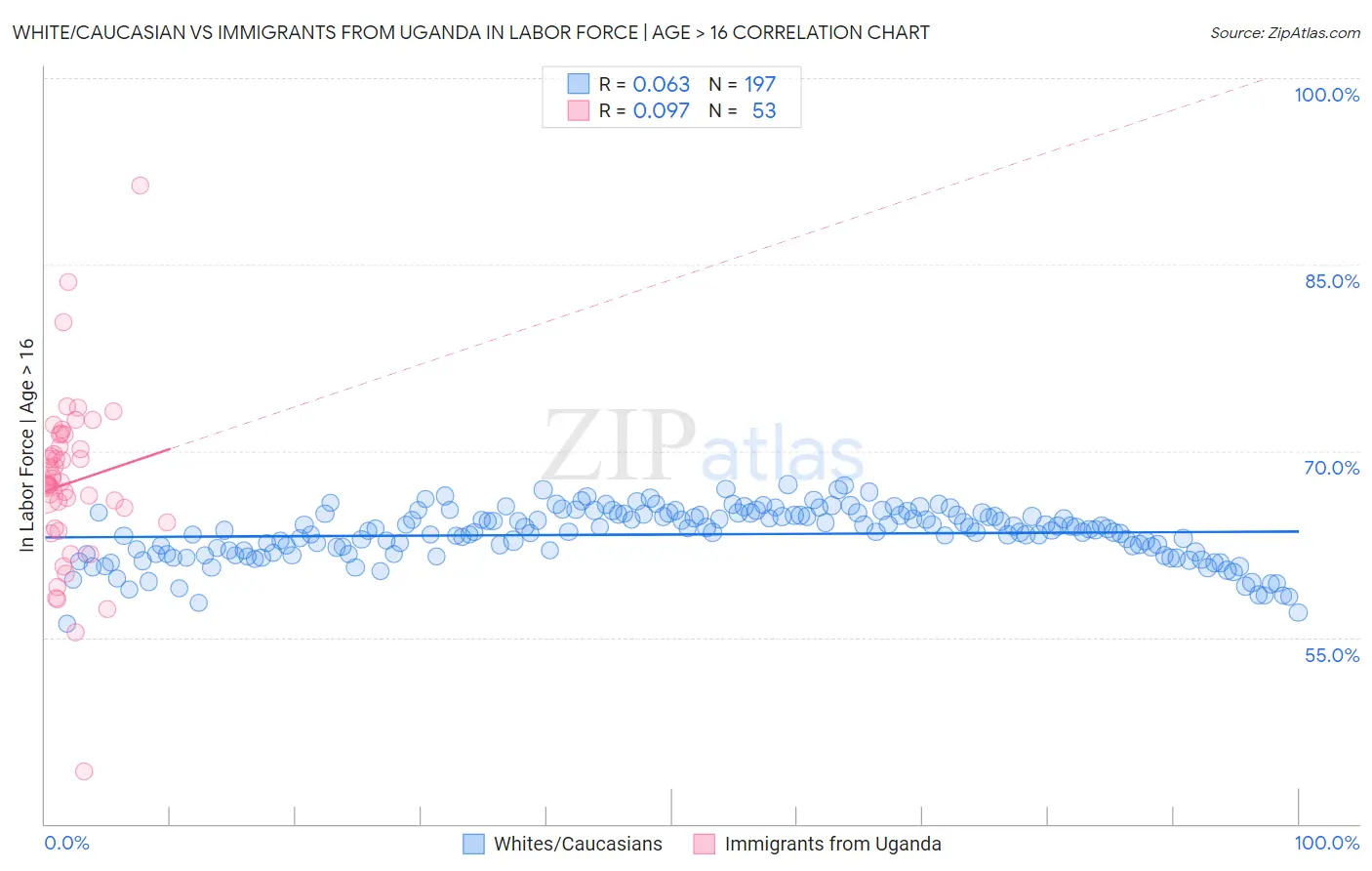 White/Caucasian vs Immigrants from Uganda In Labor Force | Age > 16