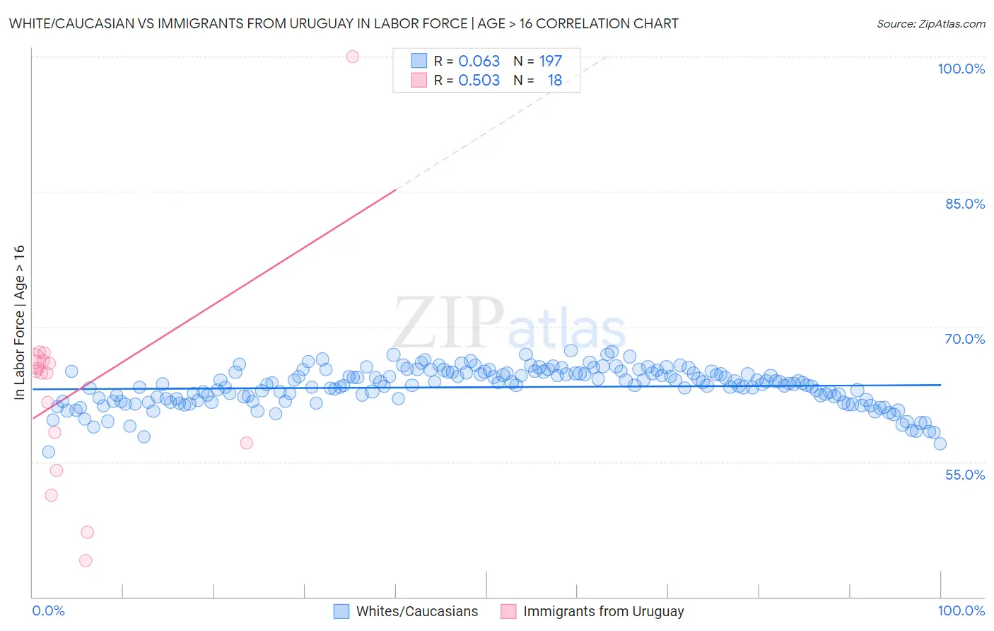 White/Caucasian vs Immigrants from Uruguay In Labor Force | Age > 16