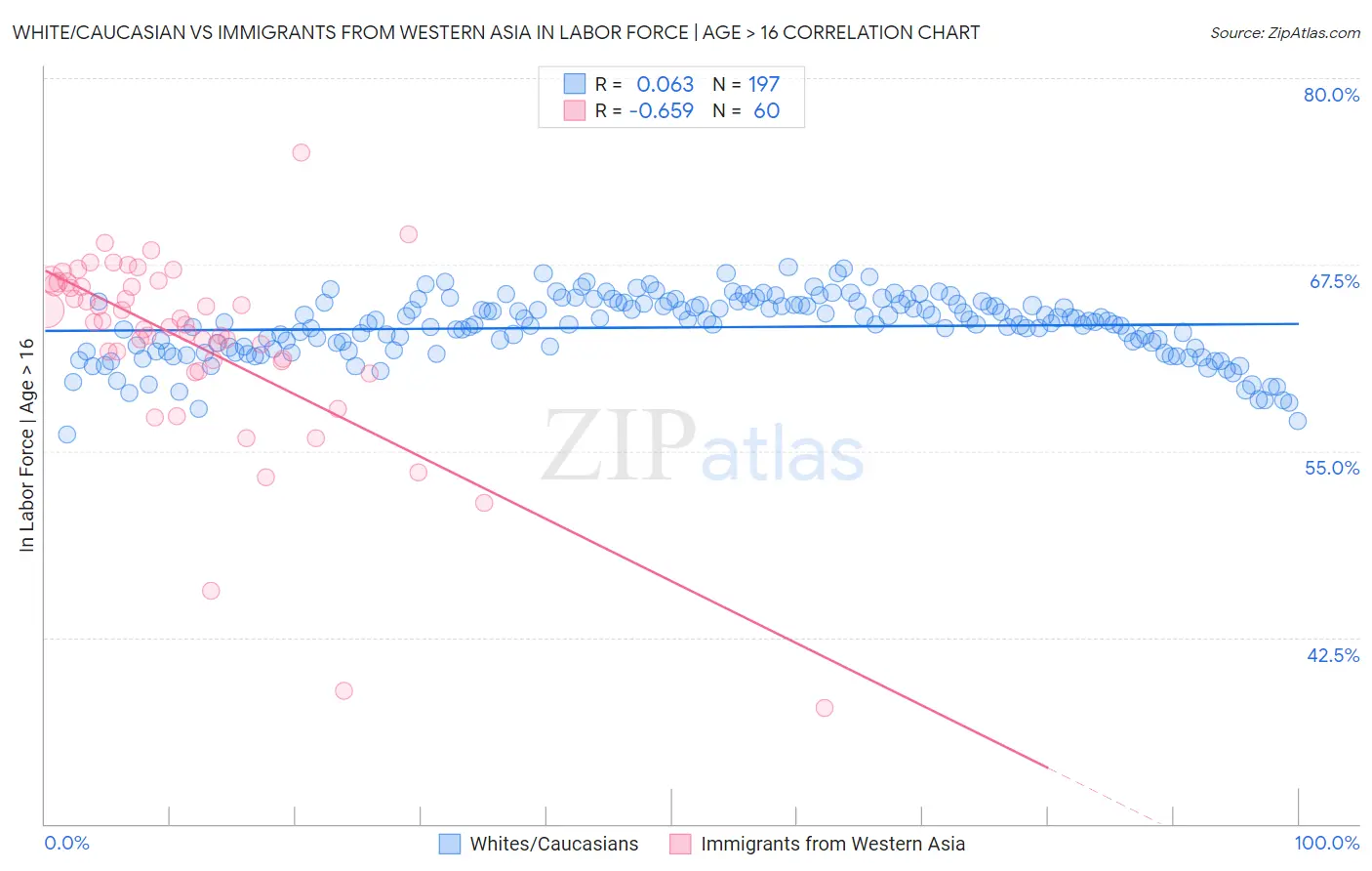 White/Caucasian vs Immigrants from Western Asia In Labor Force | Age > 16