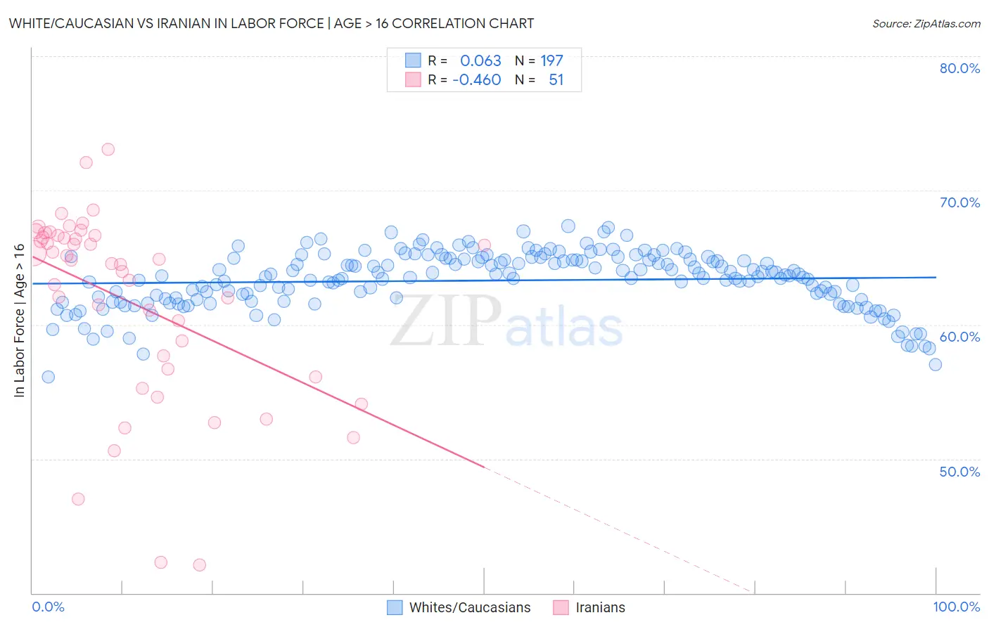 White/Caucasian vs Iranian In Labor Force | Age > 16