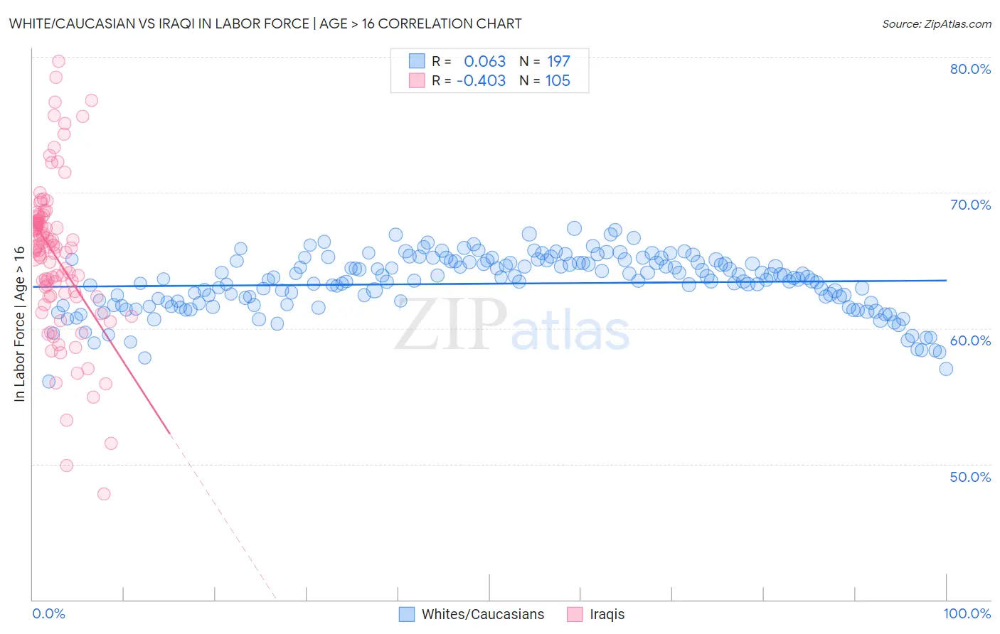 White/Caucasian vs Iraqi In Labor Force | Age > 16