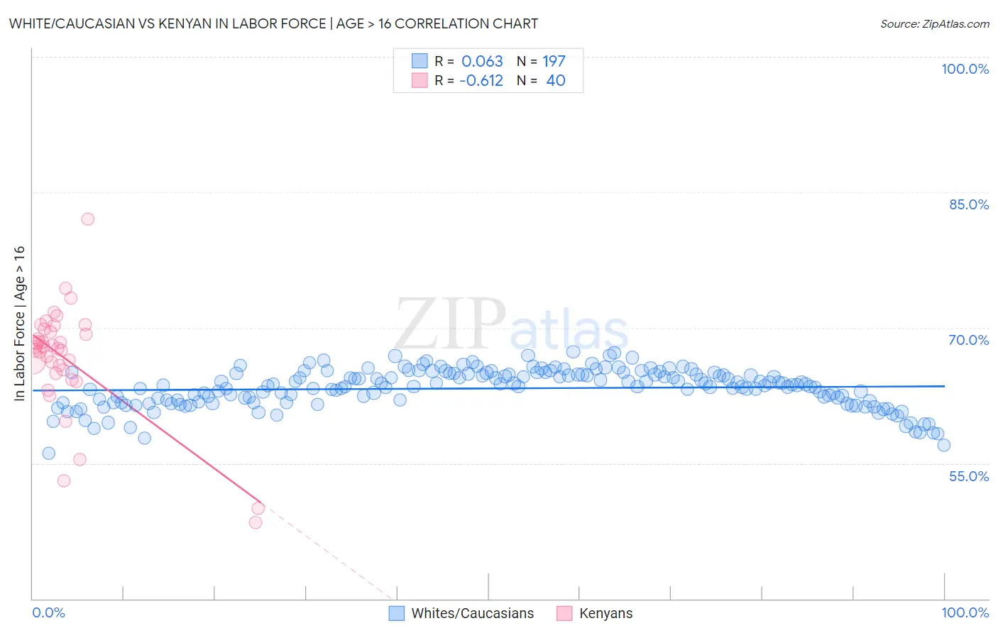 White/Caucasian vs Kenyan In Labor Force | Age > 16