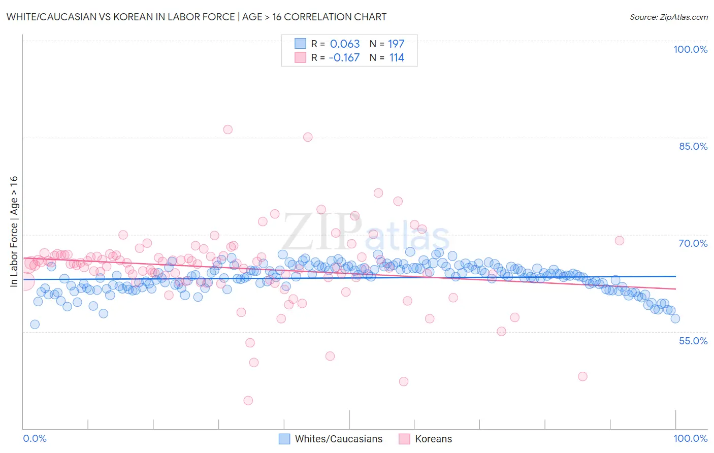 White/Caucasian vs Korean In Labor Force | Age > 16