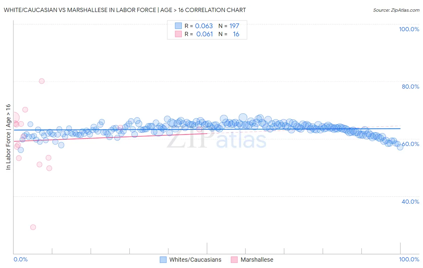 White/Caucasian vs Marshallese In Labor Force | Age > 16