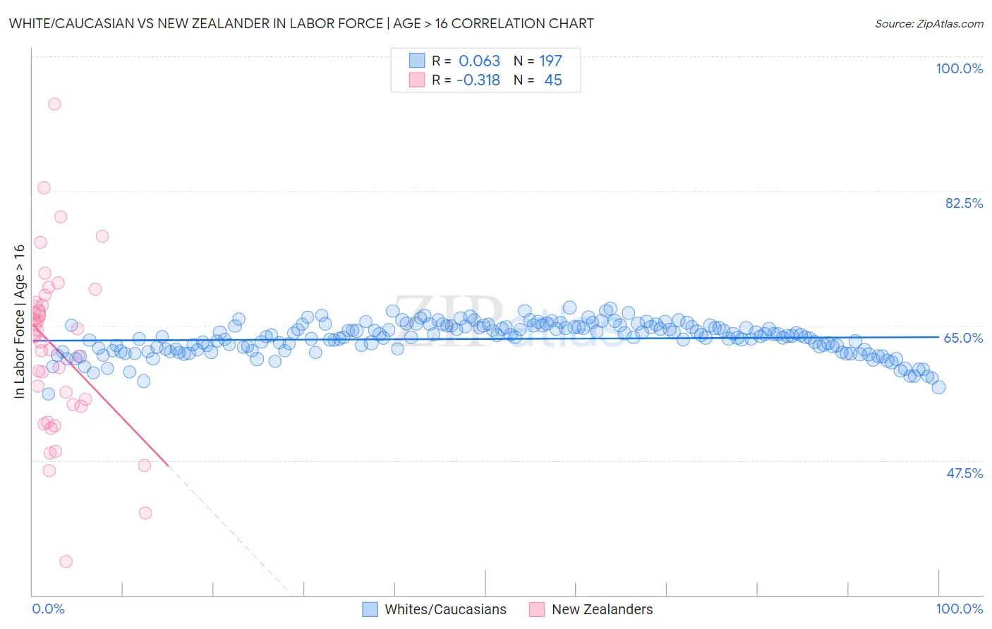 White/Caucasian vs New Zealander In Labor Force | Age > 16