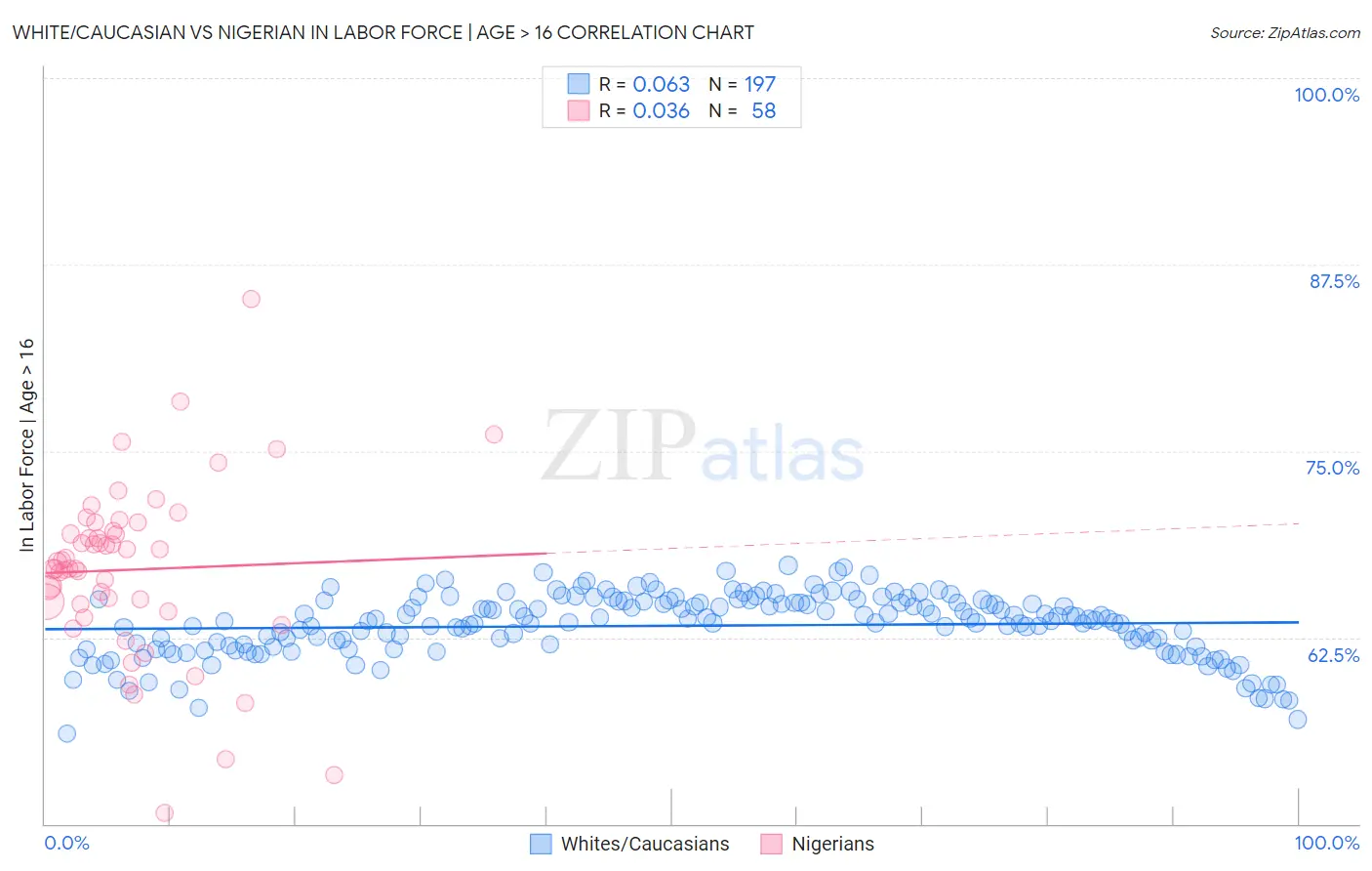White/Caucasian vs Nigerian In Labor Force | Age > 16