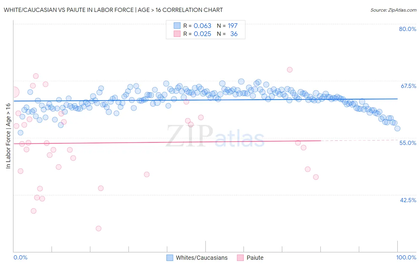 White/Caucasian vs Paiute In Labor Force | Age > 16