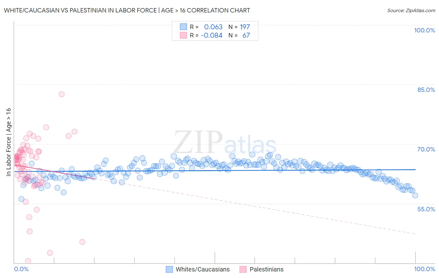 White/Caucasian vs Palestinian In Labor Force | Age > 16