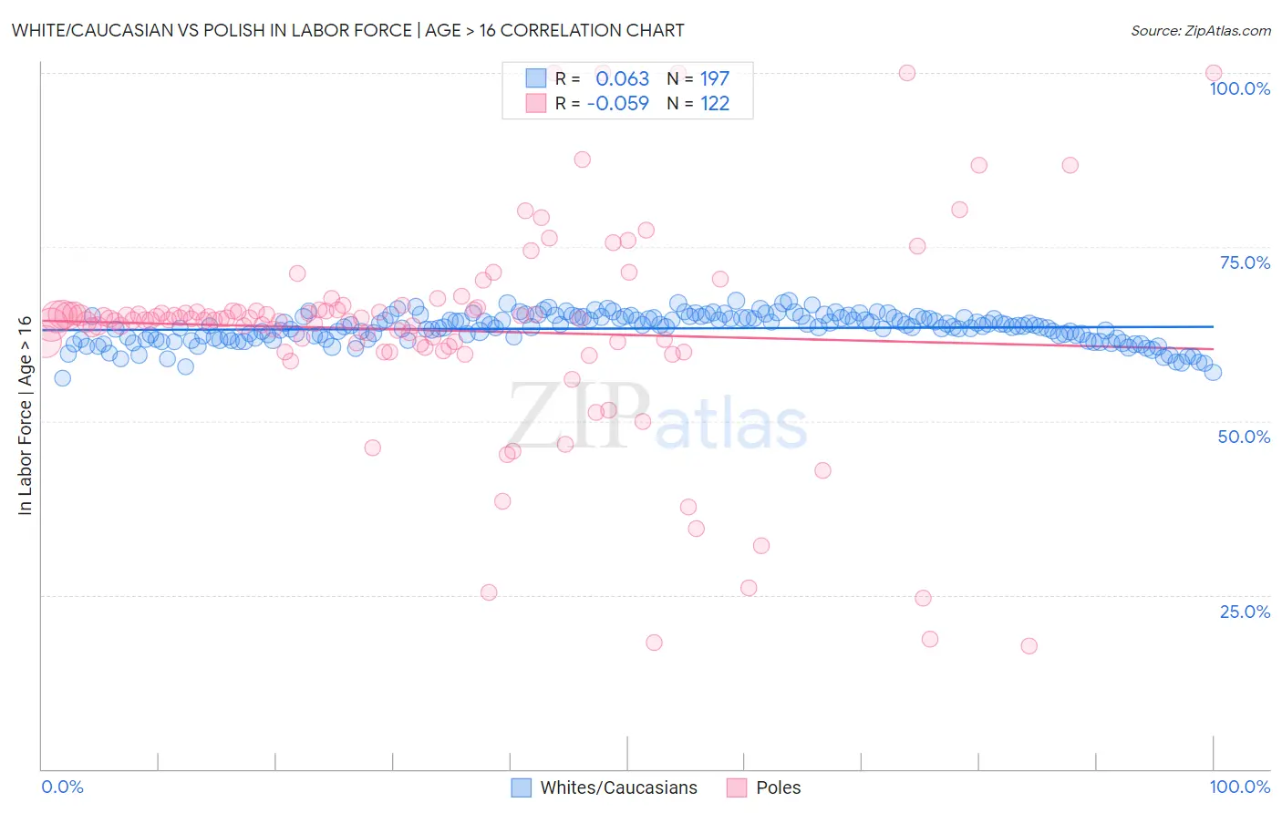 White/Caucasian vs Polish In Labor Force | Age > 16