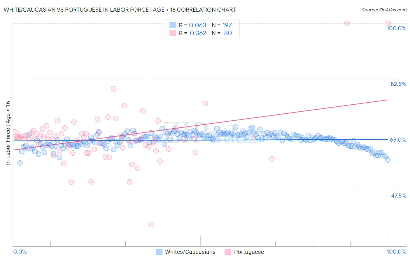 White/Caucasian vs Portuguese In Labor Force | Age > 16