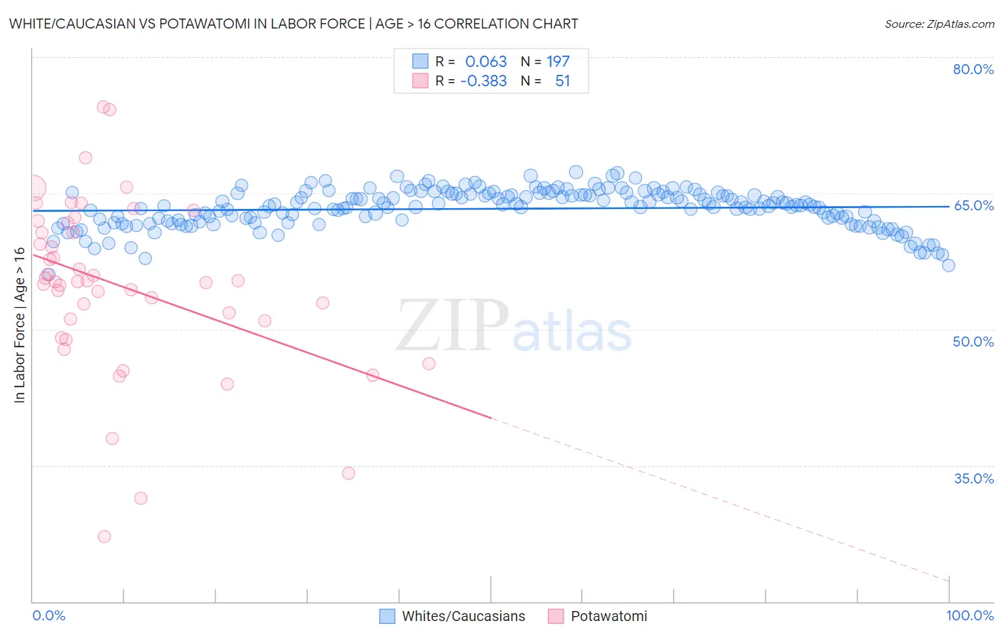 White/Caucasian vs Potawatomi In Labor Force | Age > 16