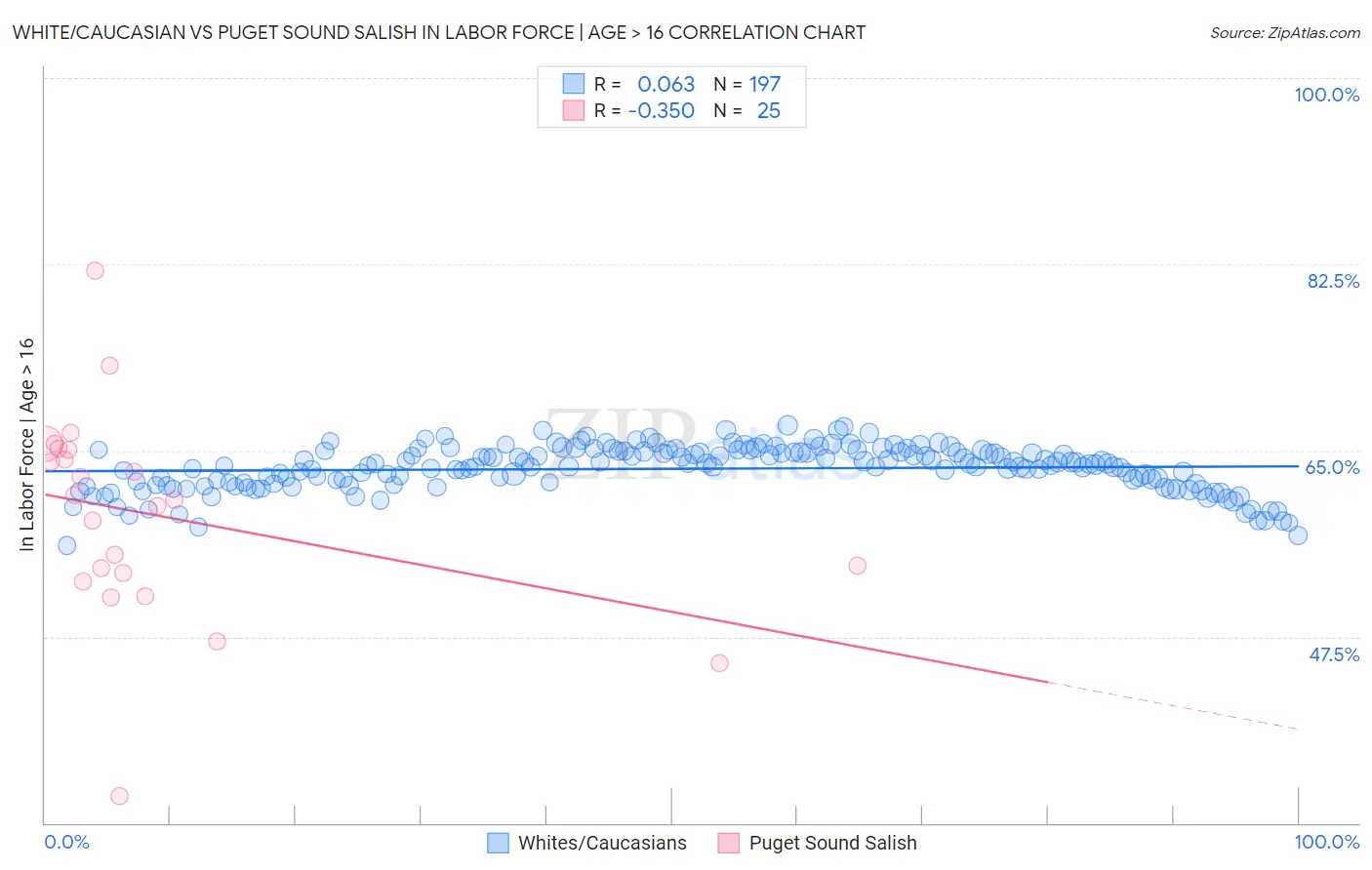 White/Caucasian vs Puget Sound Salish In Labor Force | Age > 16