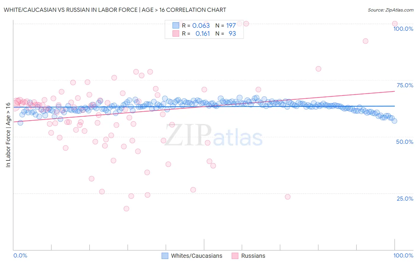 White/Caucasian vs Russian In Labor Force | Age > 16