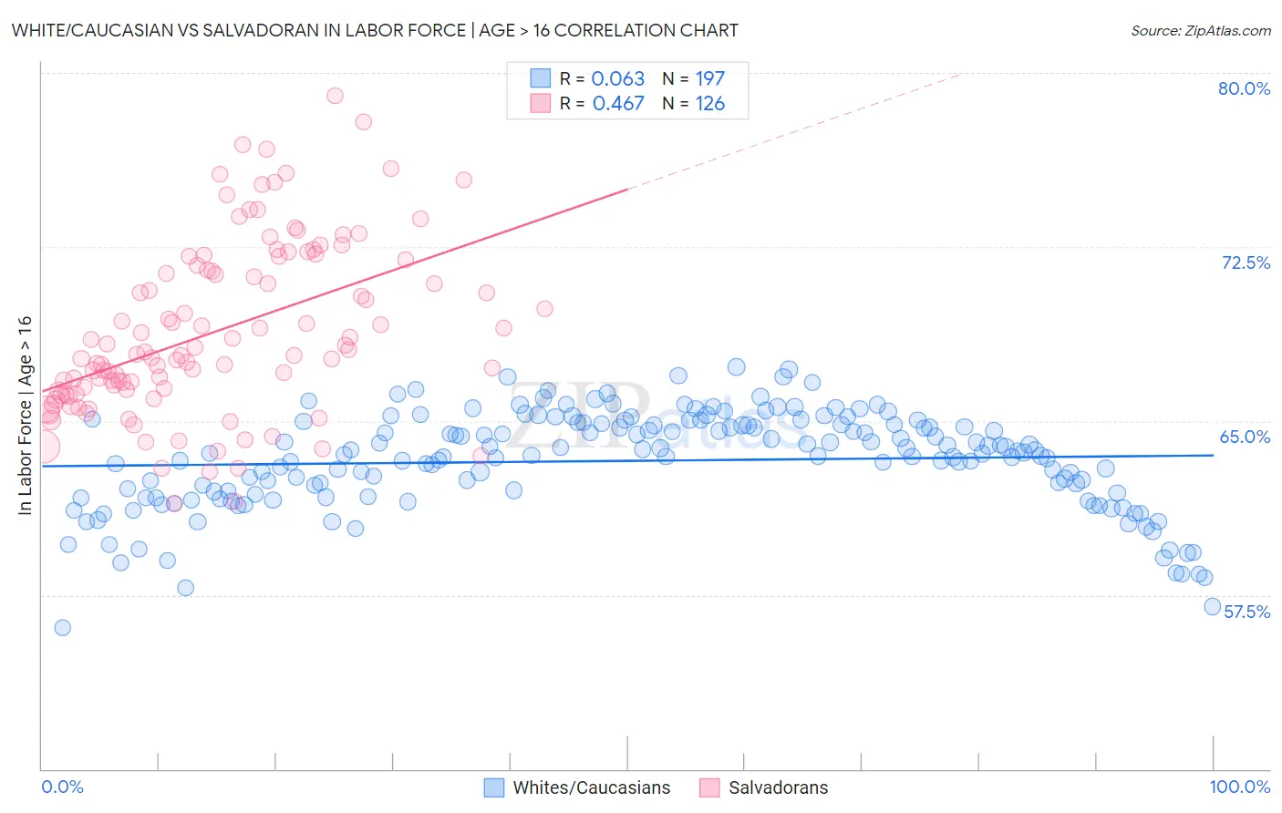 White/Caucasian vs Salvadoran In Labor Force | Age > 16