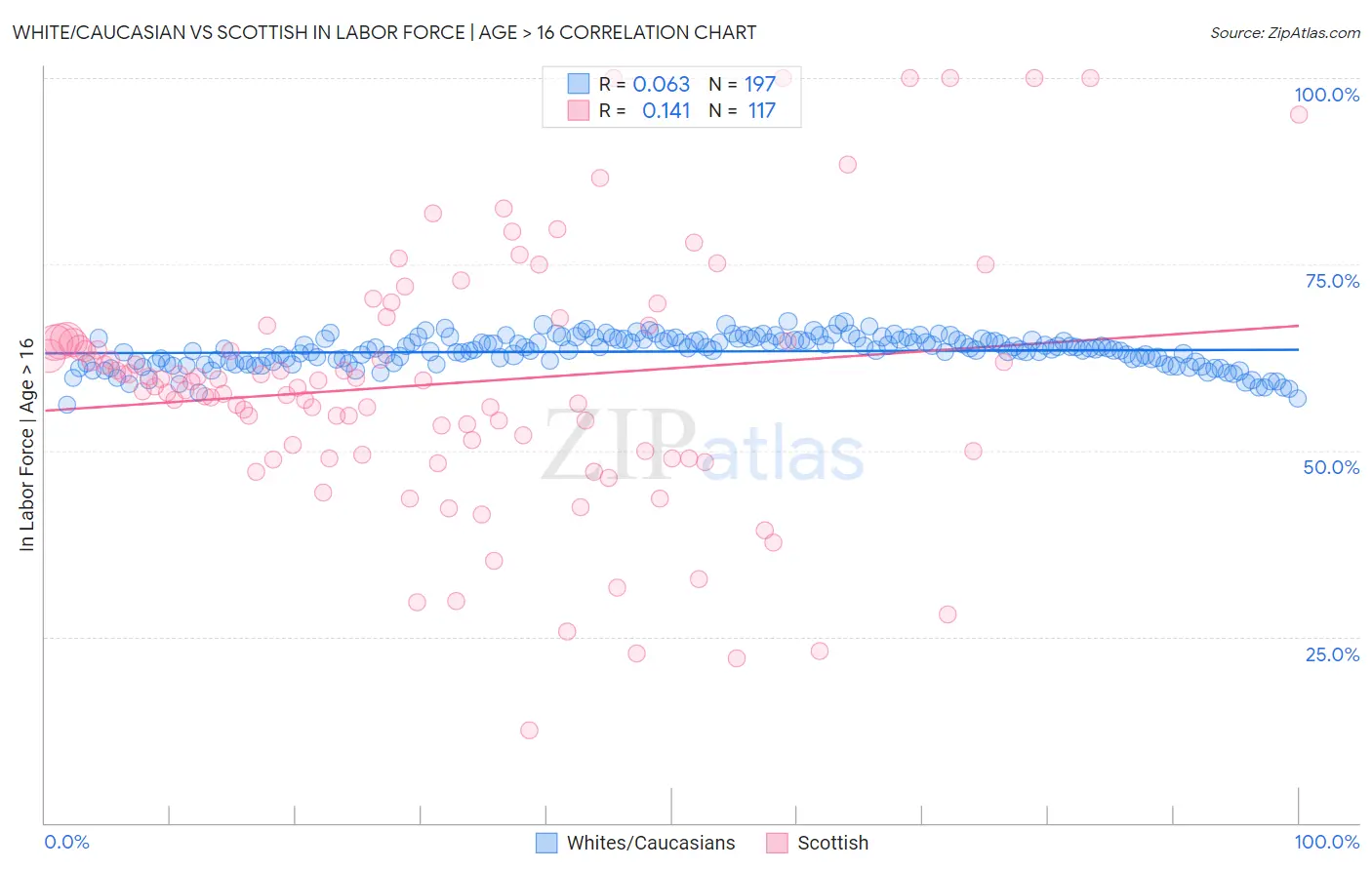 White/Caucasian vs Scottish In Labor Force | Age > 16