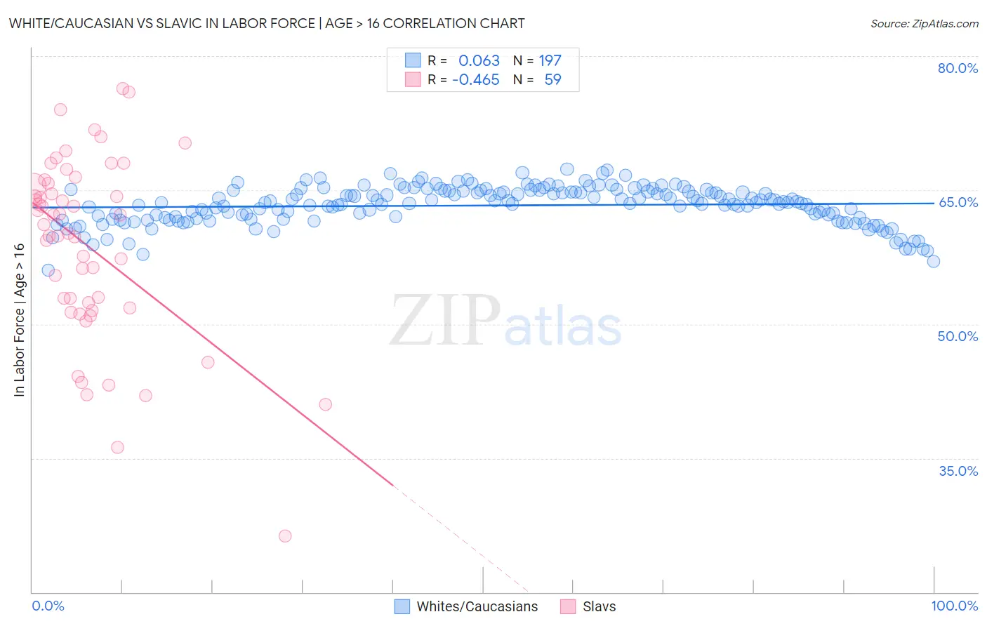 White/Caucasian vs Slavic In Labor Force | Age > 16