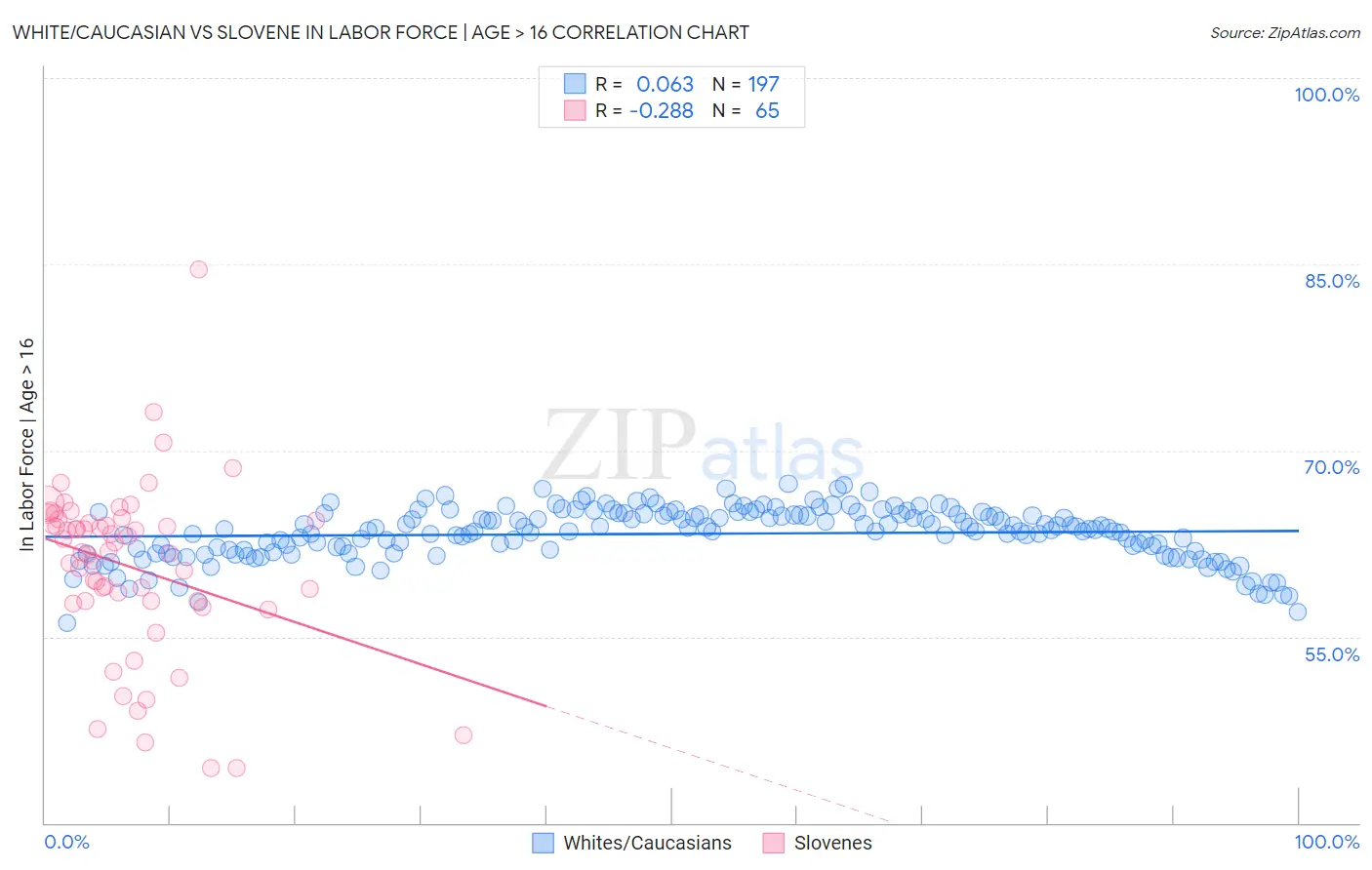 White/Caucasian vs Slovene In Labor Force | Age > 16