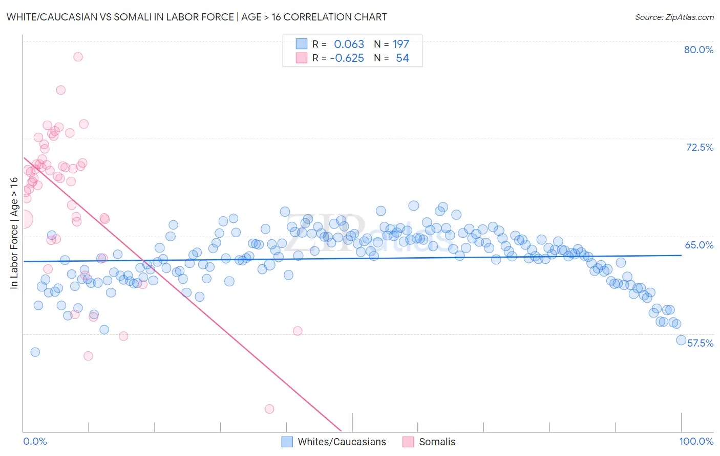 White/Caucasian vs Somali In Labor Force | Age > 16
