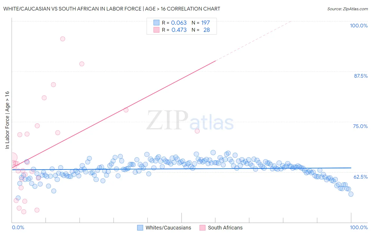 White/Caucasian vs South African In Labor Force | Age > 16