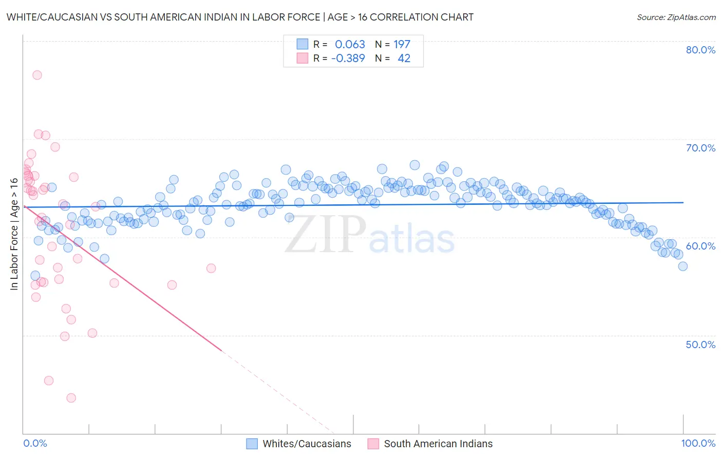 White/Caucasian vs South American Indian In Labor Force | Age > 16