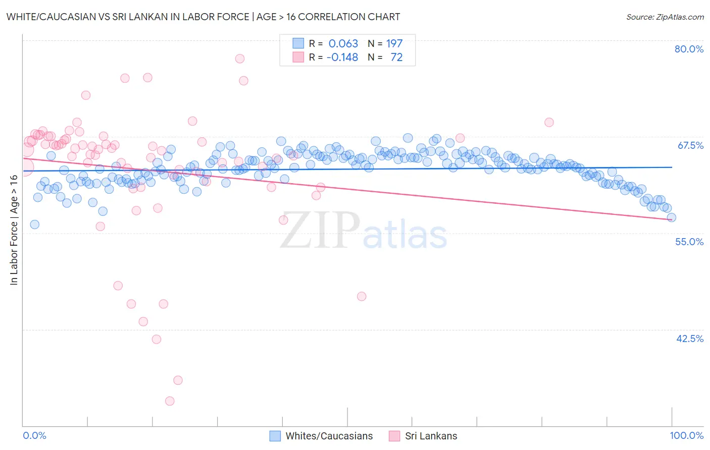 White/Caucasian vs Sri Lankan In Labor Force | Age > 16