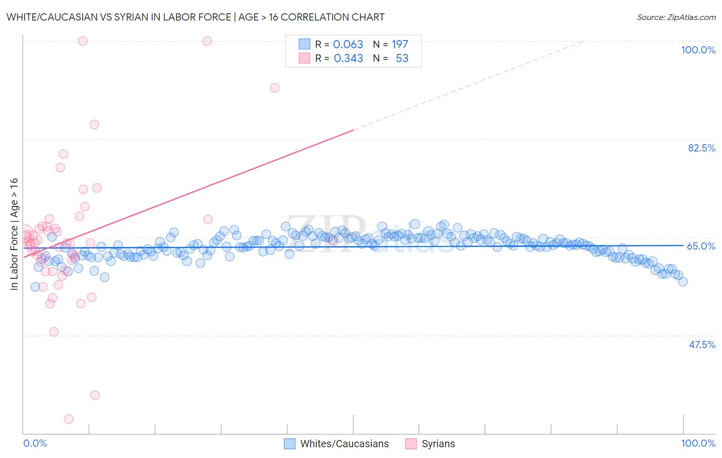 White/Caucasian vs Syrian In Labor Force | Age > 16