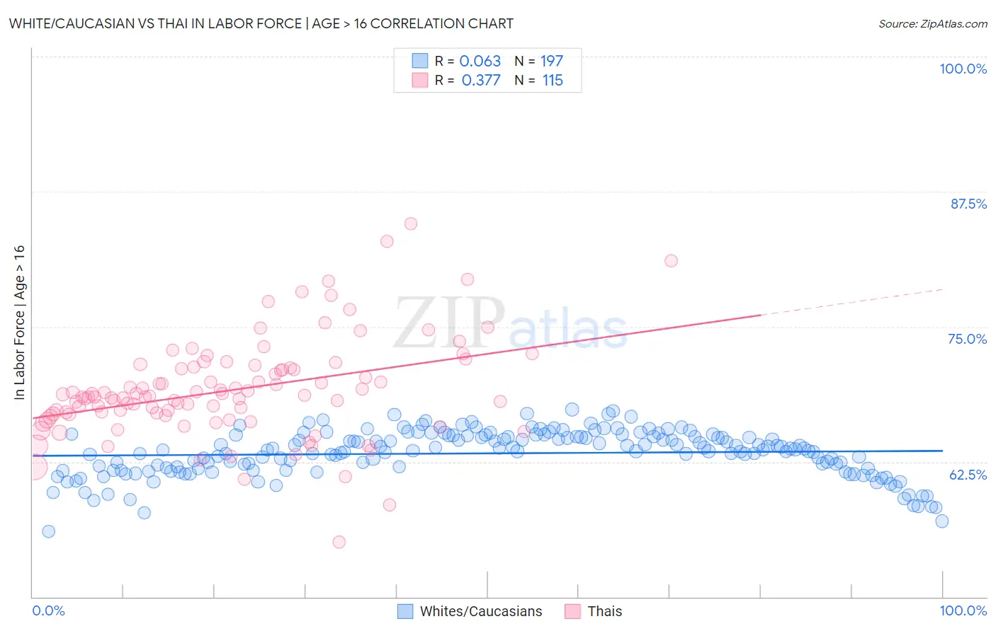 White/Caucasian vs Thai In Labor Force | Age > 16