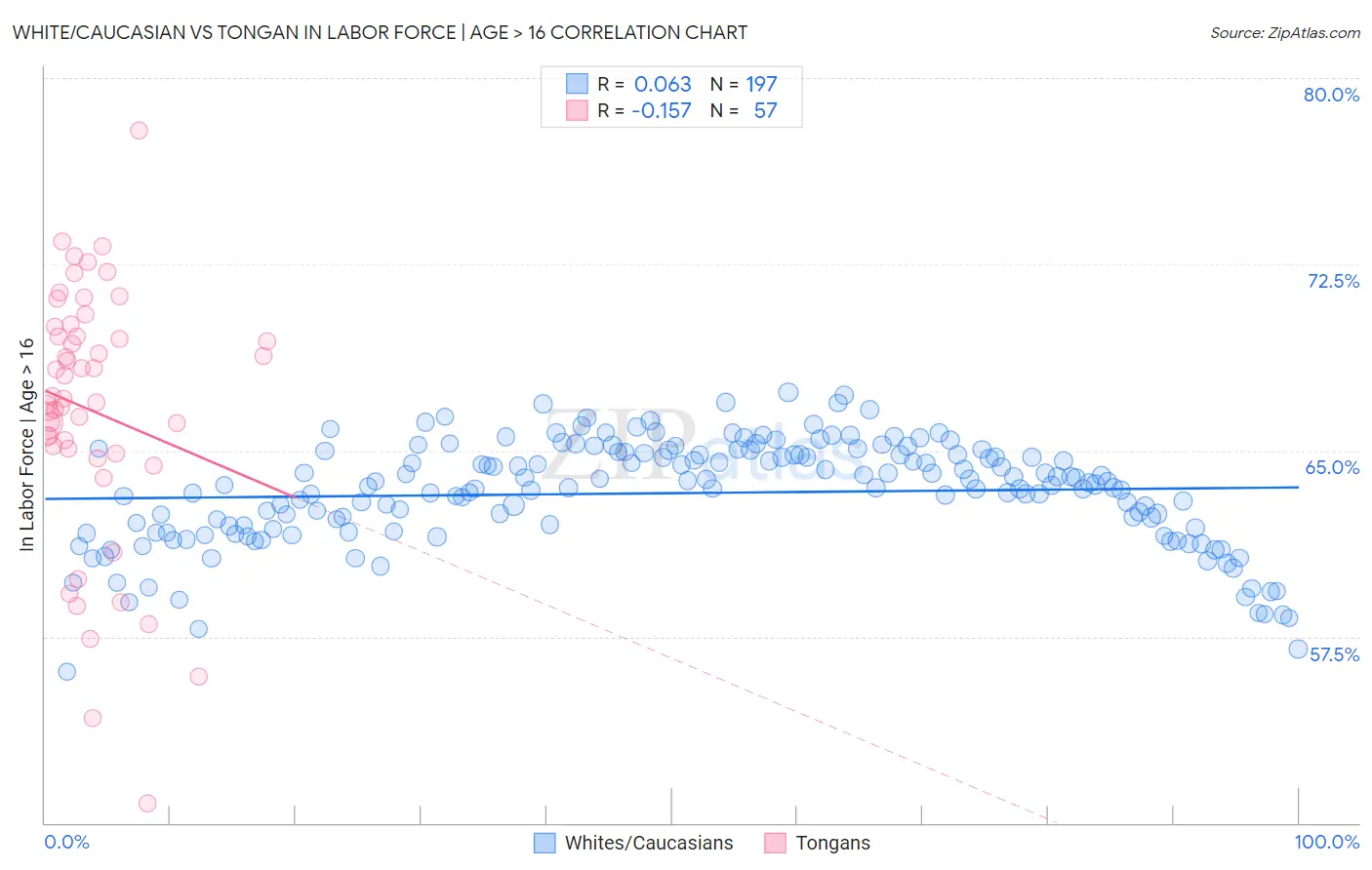 White/Caucasian vs Tongan In Labor Force | Age > 16