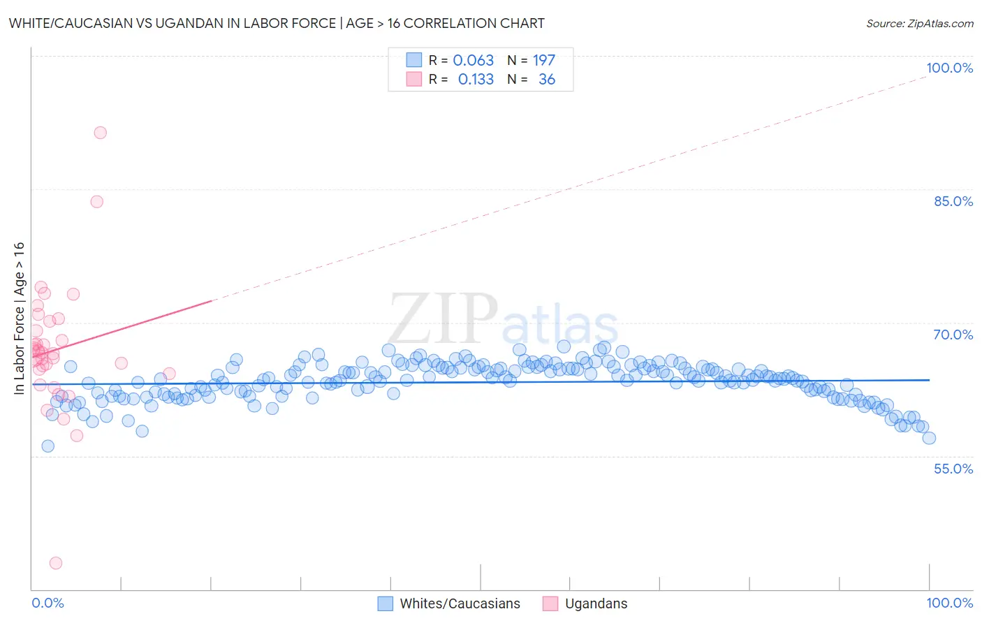 White/Caucasian vs Ugandan In Labor Force | Age > 16