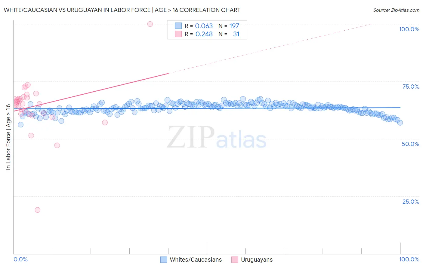 White/Caucasian vs Uruguayan In Labor Force | Age > 16