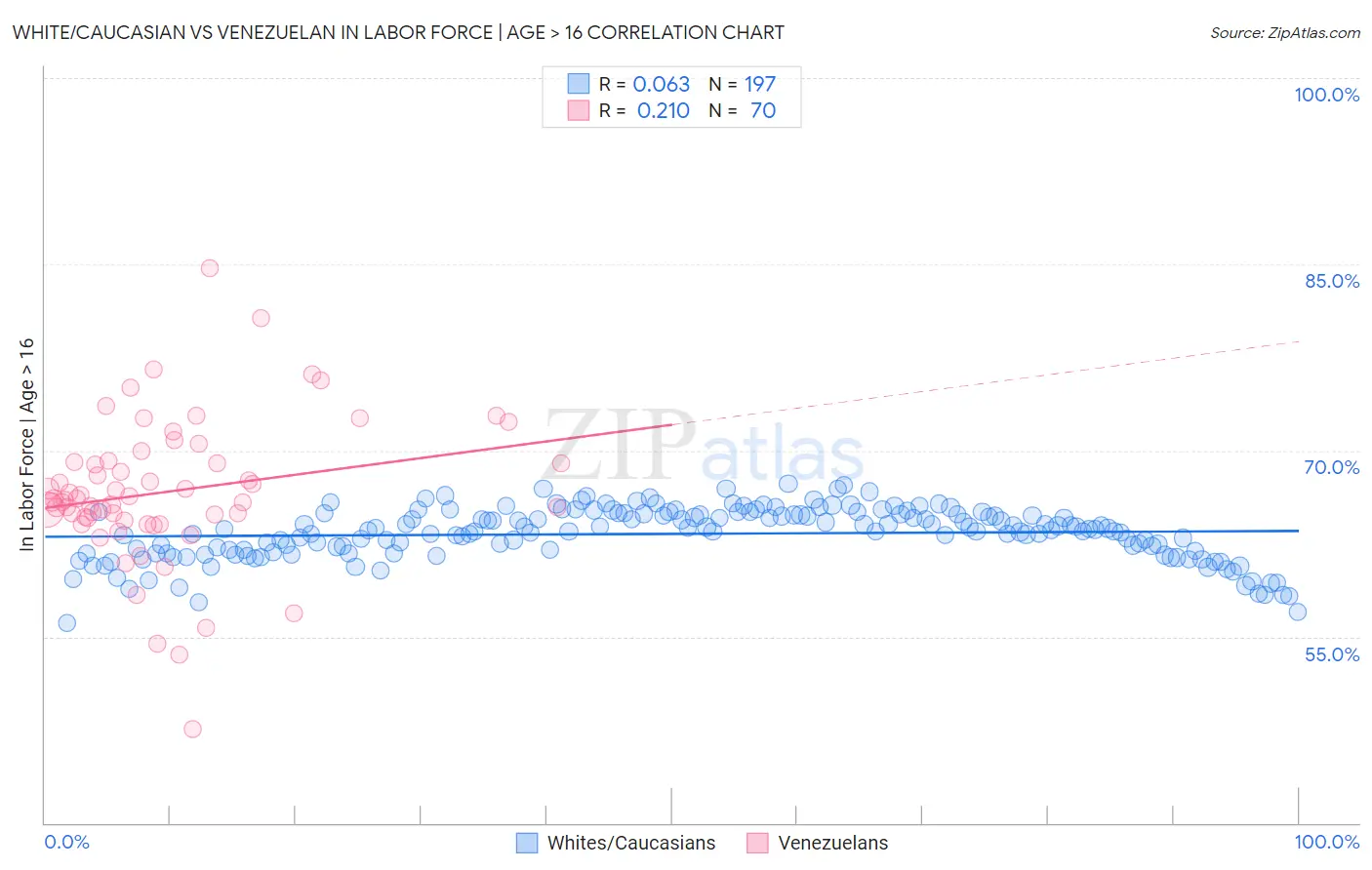 White/Caucasian vs Venezuelan In Labor Force | Age > 16