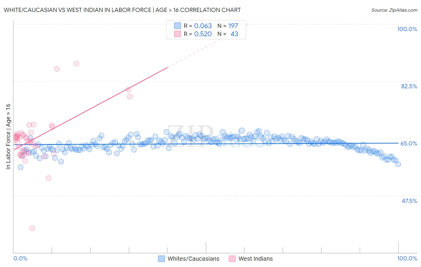 White/Caucasian vs West Indian In Labor Force | Age > 16