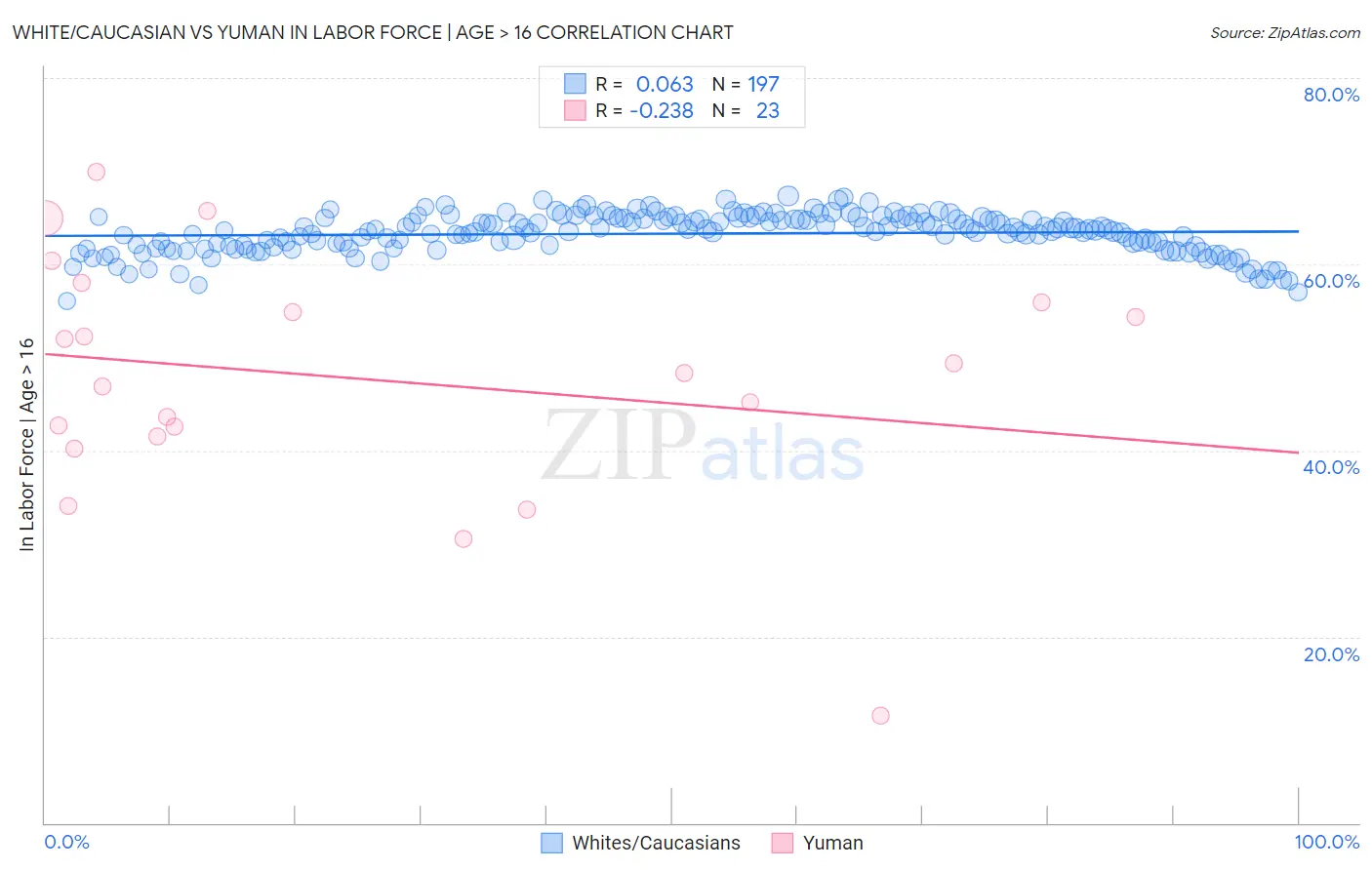 White/Caucasian vs Yuman In Labor Force | Age > 16